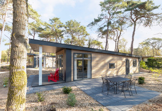 Forest park chalet ved Holiday park De Kleine Belties i Holland, omgivet af træer og moderne terrasser.