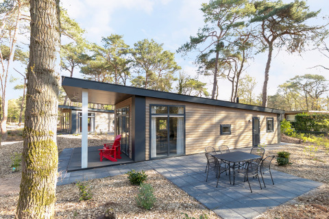 Forest park chalet bij Holiday park De Kleine Belties in Nederland, met een moderne patio en natuurrijke omgeving.