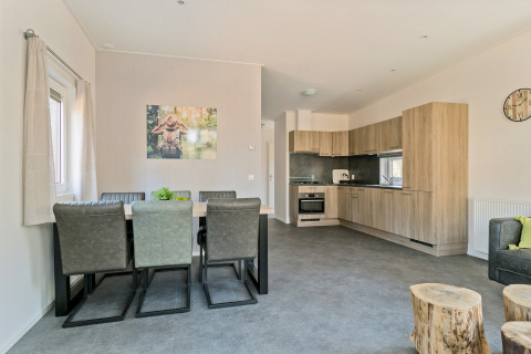 Modern dining and kitchen area in Forest park chalet at Holiday park De Kleine Belties, Netherlands.