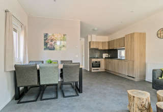 Modern dining and kitchen area in Forest park chalet at Holiday park De Kleine Belties, Netherlands.