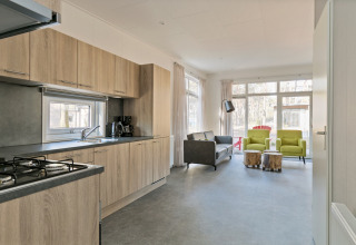 Modern kitchen and living area with large windows in Forest park chalet, Holiday park De Kleine Belties, Netherlands.