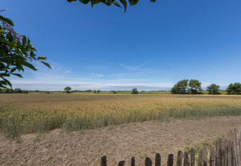 Vista su campi e alberi sotto un cielo azzurro limpido dal Wikkelhouse di Welcome In, Zeeland, Paesi Bassi.