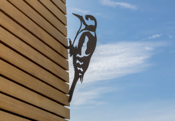 Metalen silhouet van een specht op een houten muur bij Wikkelhouse, Welcome In - Zeeland, Nederland.