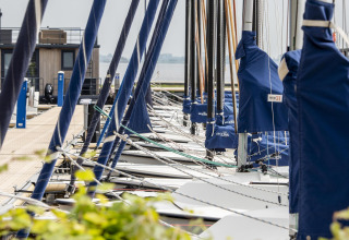 Segelboote vertäut am Steg beim Hausboot 'Riggelbrug' bei Welcome In - Friesland, Niederlande.