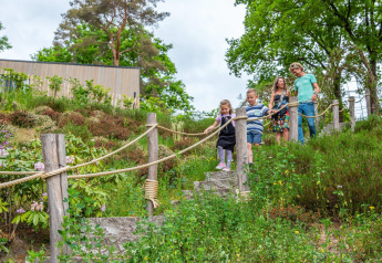 Gezin loopt de stenen trap af bij een groene heuvel bij Cosy Unique lodge in Maasduinen, Nederland.