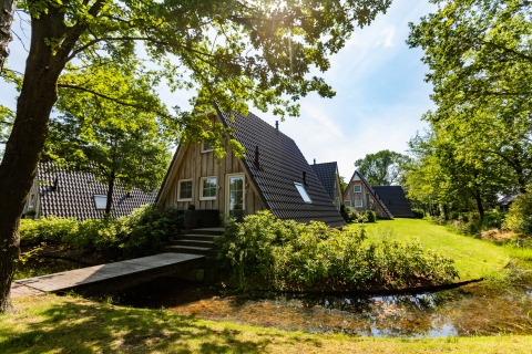 Wellness Lodge tiny house i Hof van Salland, Holland, omgivet af grønne træer og en lille dam.