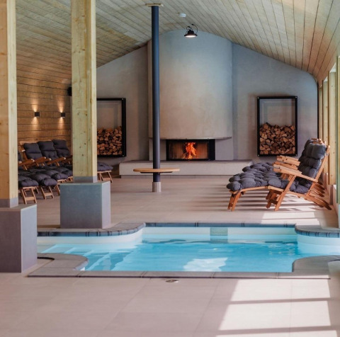 Espace bien-être intérieur avec piscine, chaises longues et cheminée au Wellness Lodge, Hof van Salland, Pays-Bas.