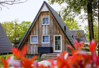 Pequeña casa Wellness Lodge en Hof van Salland, Países Bajos, rodeada de flores y árboles verdes.