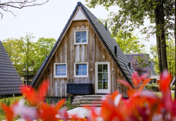 Pequeña casa Wellness Lodge en Hof van Salland, Países Bajos, rodeada de flores y árboles verdes.