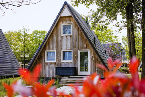 Kleine Wellness Lodge bij Hof van Salland in Nederland, houten gevel, omringd door bloemen en bomen.