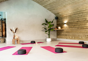 Estudio de yoga moderno con esterillas rosas y cojines en Wellness Lodge, Hof van Salland, Países Bajos.