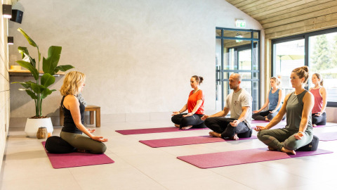 En gruppe mennesker deltager i en yogaklasse i Wellness Lodge ved Hof van Salland, Nederlandene.