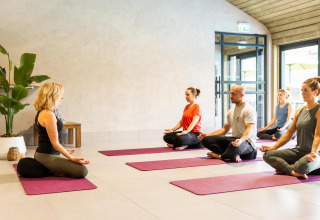 Un gruppo pratica yoga e meditazione presso Wellness Lodge a Hof van Salland, Paesi Bassi, in una sala serena.