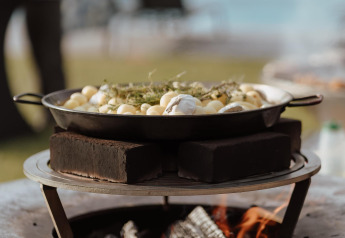 Cucina all'aperto presso Wellness Lodge, Hof van Salland, Paesi Bassi, con fuoco e pentola su griglia.