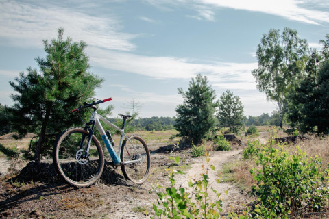 Cykel parkeret ved et lille træ på en natursti nær Wellness Lodge ved Hof van Salland, Holland.