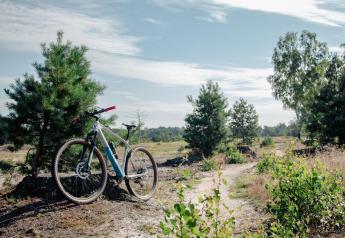 Bicicleta aparcada junto a un árbol en un sendero cerca de Wellness Lodge en Hof van Salland, Países Bajos.