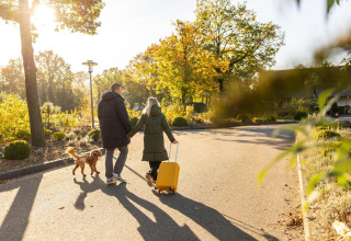 Coppia a mano con cane e valigia gialla al Wellness Lodge, Hof van Salland, Paesi Bassi, sotto il sole.
