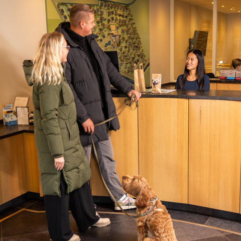 Par med hund tjekker ind i receptionen på Wellness Lodge ved Hof van Salland i Holland.