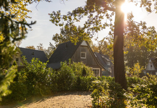 Imagen soleada de una tiny house Wellness Lodge en Hof van Salland, Países Bajos, rodeada de vegetación.