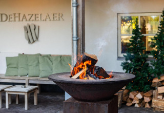 Hoguera exterior, banco con cojines verdes, árboles navideños y leña en Wellness Lodge, Hof van Salland.