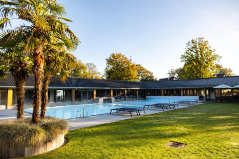 Udendørs pool ved Wellness Lodge i Hof van Salland, Nederlandene, omgivet af liggestole og palmer.