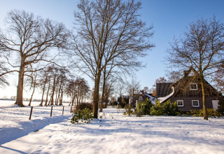Vista invernal de Wellness Lodge en Hof van Salland, Países Bajos, rodeada de nieve y árboles sin hojas.