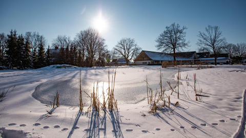 Paysage hivernal à Wellness Lodge, Hof van Salland, Pays-Bas, neige et étang gelé sous le soleil.
