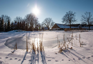 Scorcio invernale di Wellness Lodge a Hof van Salland, Paesi Bassi, con neve e stagno ghiacciato.
