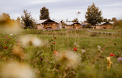 Tiendas safari glamping en el parque Holiday Eigen Wijze, Países Bajos, con flores silvestres al frente.