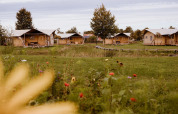 Safari-Glamping-Zelte im Ferienpark Eigen Wijze in den Niederlanden mit grüner Wiese und Bäumen.