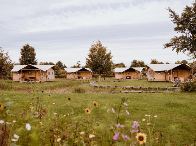 Een rij safaritenten op een grasveld met wilde bloemen en bomen, onder een bewolkte lucht.