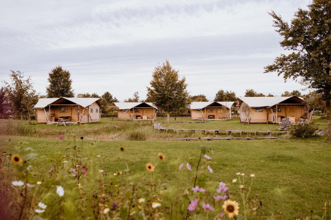 Billedet viser flere safaritelte i et grønt landskab, omgivet af vilde blomster og træer, under en overskyet himmel.