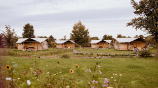 Billedet viser flere safaritelte i et grønt landskab, omgivet af vilde blomster og træer, under en overskyet himmel.