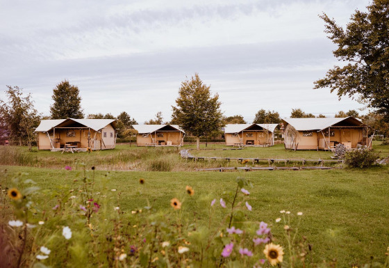 Billedet viser flere safaritelte i et grønt landskab, omgivet af vilde blomster og træer, under en overskyet himmel.