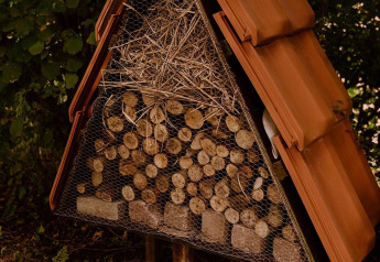 Insectenhotel van hout en stro bij een safaritent in Vakantiepark Eigen Wijze, Nederland.