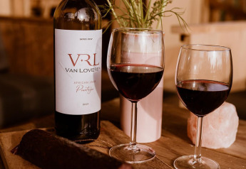 Vino y embutido sobre tabla de madera en tienda glamping en Holiday park Eigen Wijze, Países Bajos.