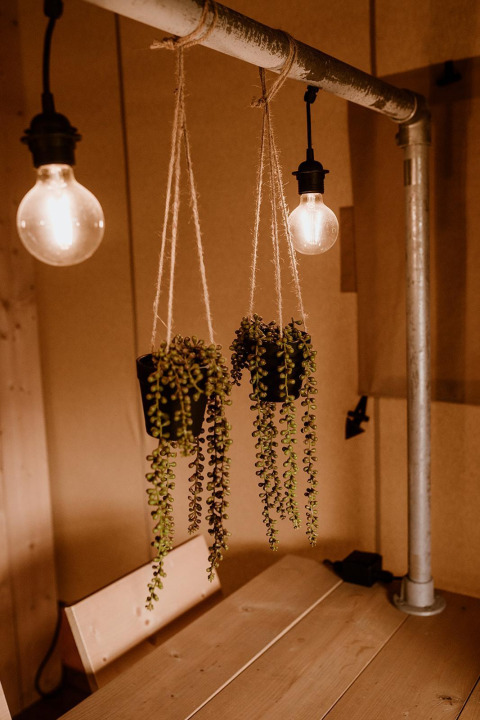 Hangende planten en gloeilampen zorgen voor een knusse sfeer in een safaritent met houten decor.