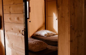 Cozy safari tent bedroom with wooden walls, a comfortable bed, and soft sunlight streaming through.
