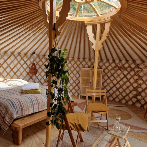 Interior acogedor de una casa natural con cama, sillas, planta verde, tragaluz y detalles en madera.