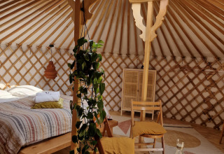 Interior acogedor de una casa natural con cama, sillas, planta verde, tragaluz y detalles en madera.