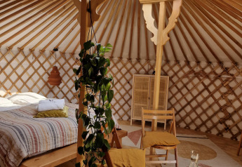 Accogliente interno di una casa nella natura con letto, sedie, pianta verde, lucernario e legno chiaro.