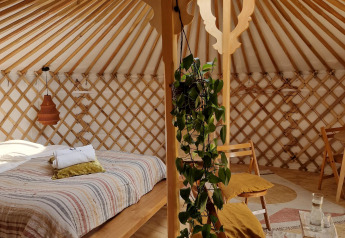 Gezellig natuurhuisje met houten meubels, bed, groene plant en dakraam in een ronde woonvorm.