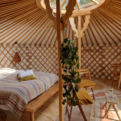 Interior acogedor de casa natural con cama, muebles de madera, planta verde y tragaluz en el techo.