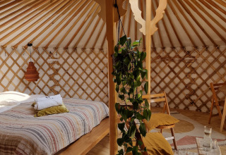 Interior acogedor de casa natural con cama, muebles de madera, planta verde y tragaluz en el techo.