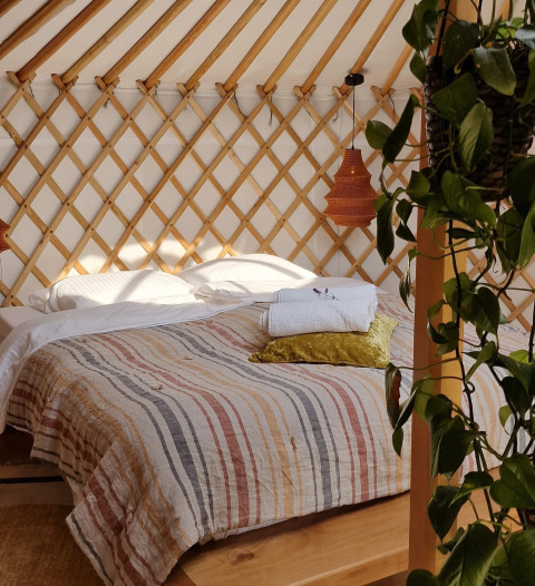 Acogedor interior de casa natural con cama, planta colgante, luz suave y pared de celosía de madera.