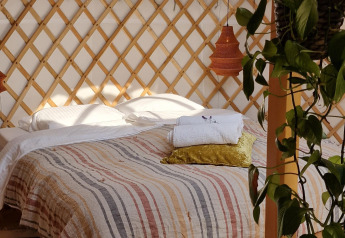 Acogedor interior de casa natural con cama, planta colgante, luz suave y pared de celosía de madera.