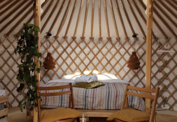 Gezellig natuurhuis-interieur met houten stoelen, een bed, planten en een dakraam zoals in een joert.