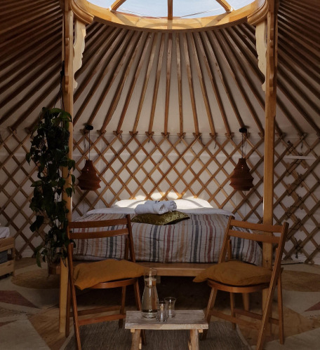 Interior of a cozy nature house with wooden chairs, a bed, plants, and skylight, styled like a yurt.