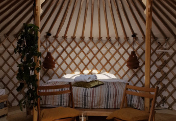 Interno di una casa natura accogliente con sedie in legno, letto, piante e lucernario tipo yurta.