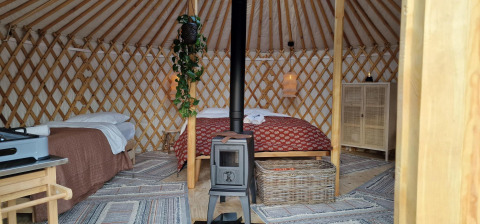Interior de la Mongoolse Panorama Yurt en Zomerlicht, Países Bajos, con camas, estufa y decoración acogedora.